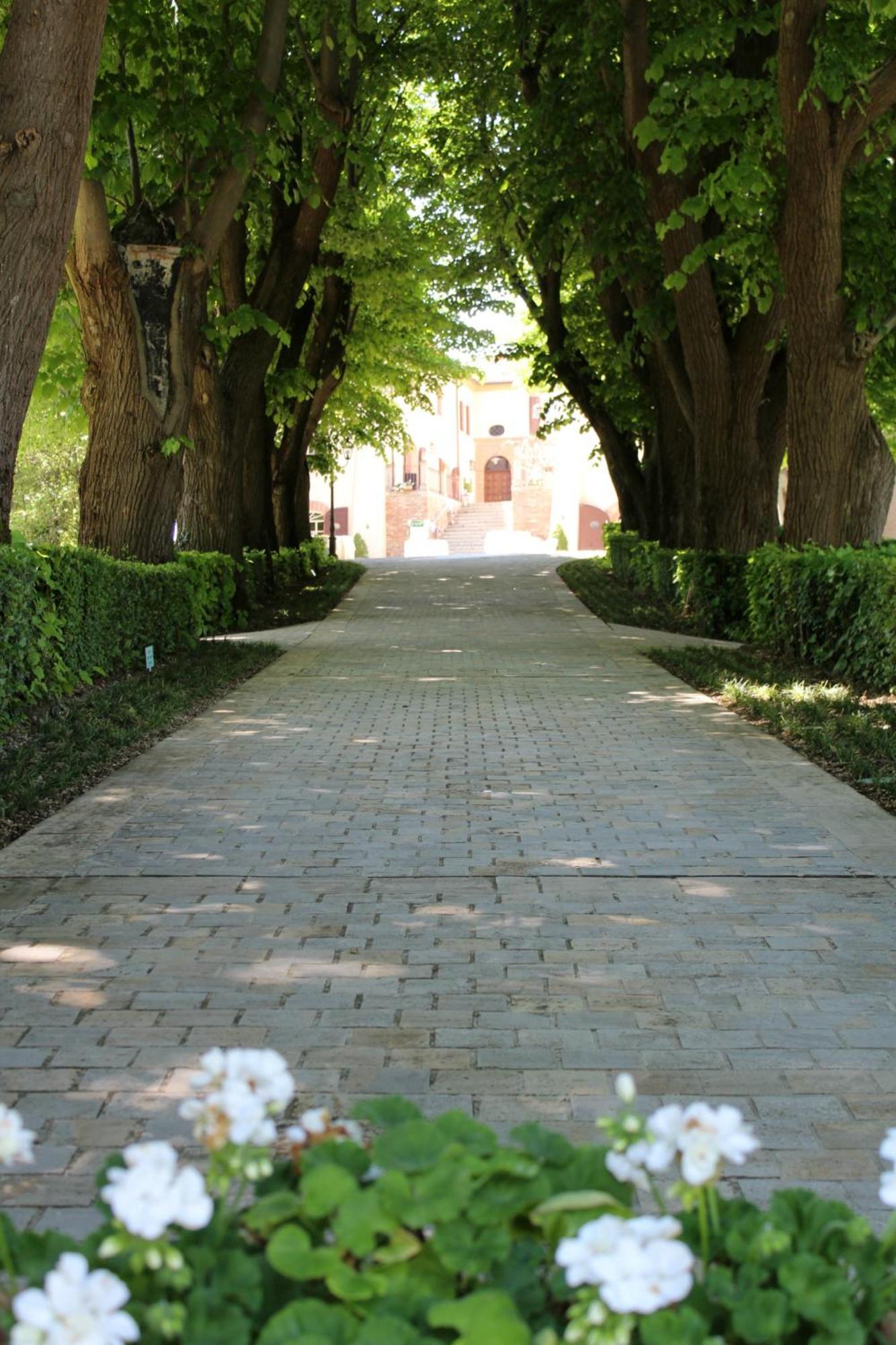 Palazzo Del Poggiano Bed and Breakfast Poggio Berni Esterno foto